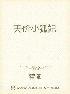 天价小狐妃