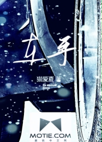 车手