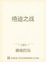 绝迹之战